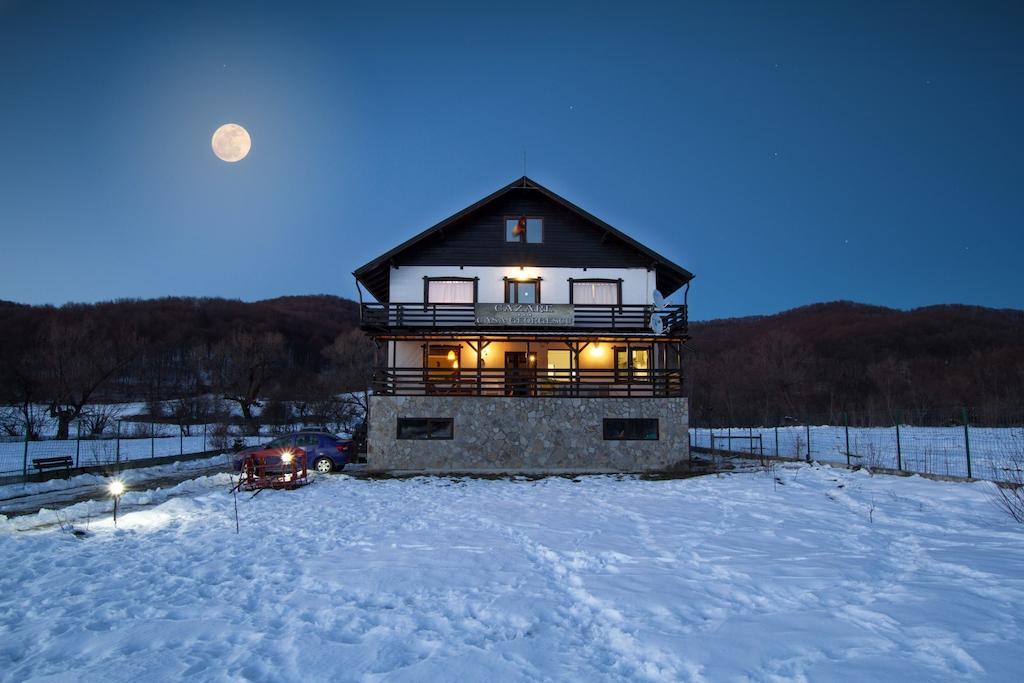 Casa Georgescu Hotel Rîşnov Luaran gambar
